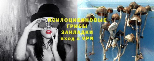 винт Белокуриха