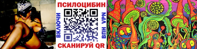 Псилоцибиновые грибы Cubensis  Волосово 